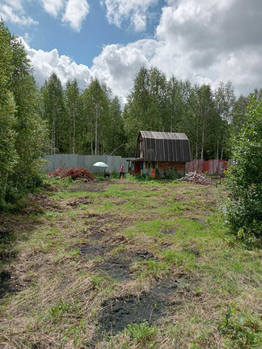 с. Кунгурка, СНТ «Березовая роща», уч. 129 (городской округ Ревда) - фото сада (1)