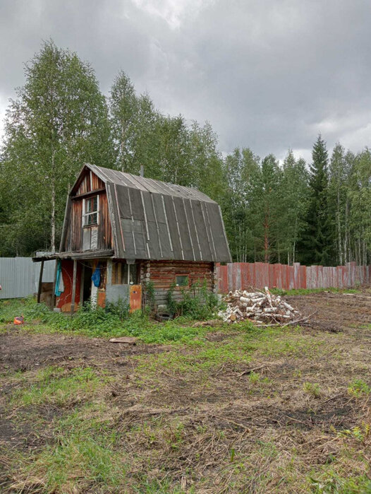 с. Кунгурка, СНТ «Березовая роща», уч. 129 (городской округ Ревда) - фото сада (4)