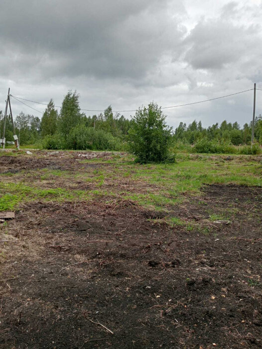 с. Кунгурка, СНТ «Березовая роща», уч. 129 (городской округ Ревда) - фото сада (5)