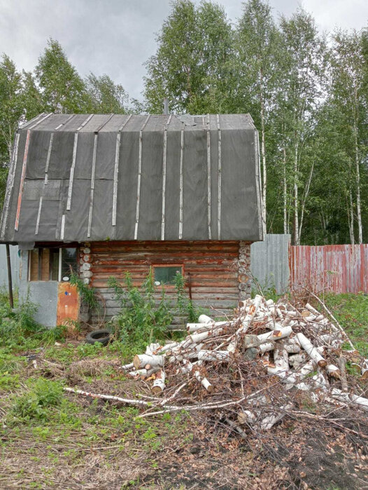 с. Кунгурка, СНТ «Березовая роща», уч. 129 (городской округ Ревда) - фото сада (6)