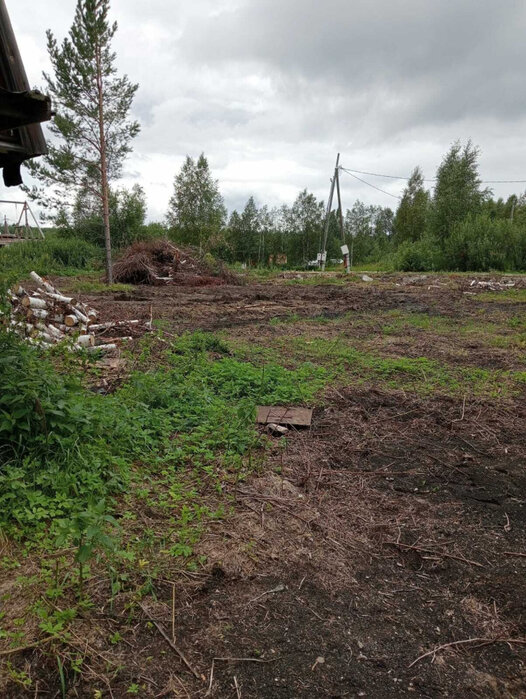 с. Кунгурка, СНТ «Березовая роща», уч. 129а (городской округ Ревда) - фото сада (2)