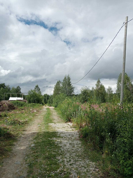 с. Кунгурка, СНТ «Березовая роща», уч. 129а (городской округ Ревда) - фото сада (3)