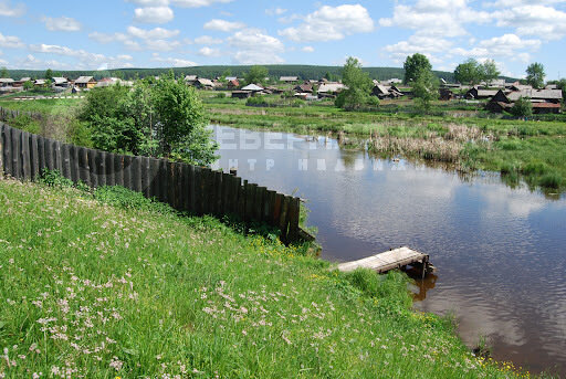 д. Полдневая, ул. Даньшина (городской округ Артинский) - фото земельного участка (1)