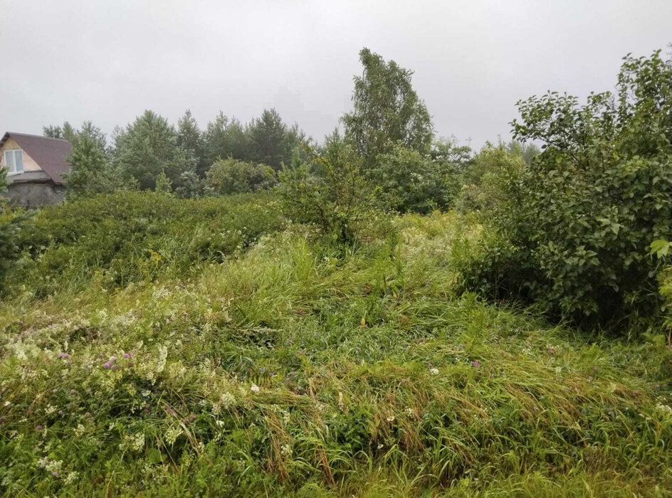 поселок городского типа Белоярский, тер. Снт Мельник (городской округ Белоярский) - фото сада (1)