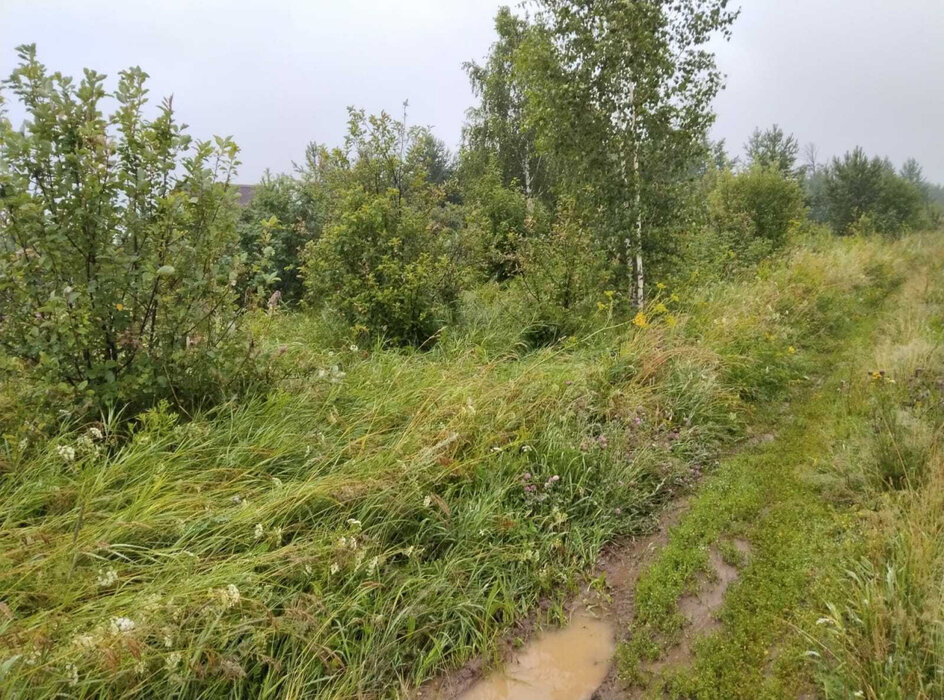 поселок городского типа Белоярский, тер. Снт Мельник (городской округ Белоярский) - фото сада (2)