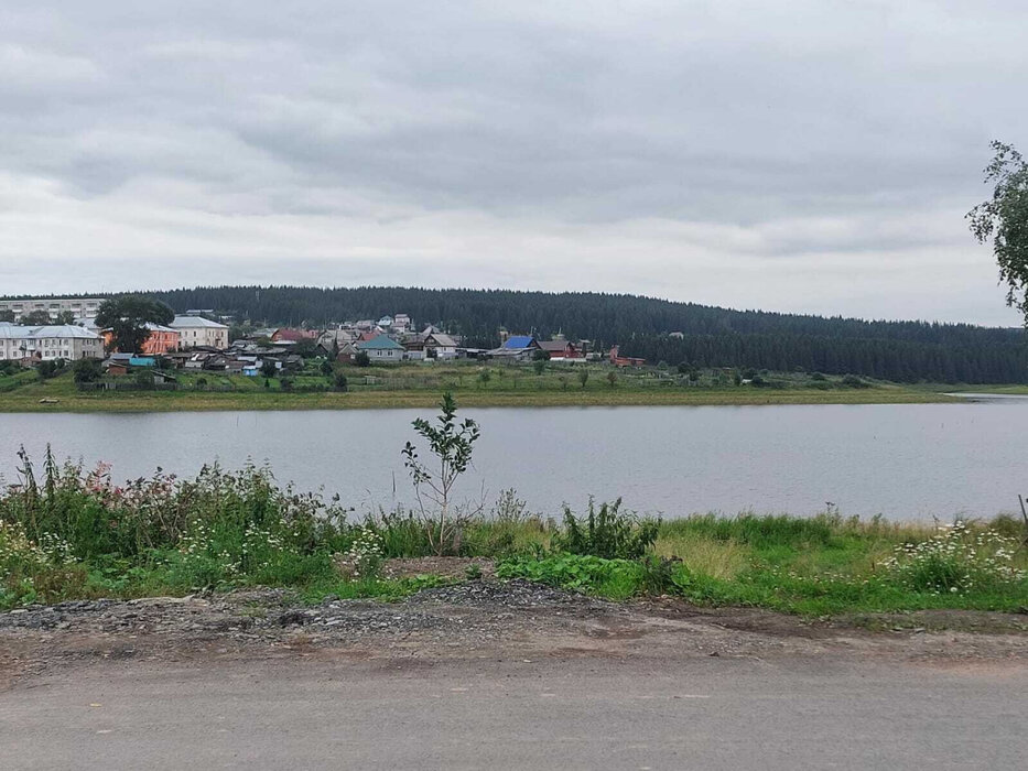 поселок городского типа Верхние Серги, ул. Розы Люксембург, 72 (городское поселение Верхнесергинское) - фото земельного участка (2)