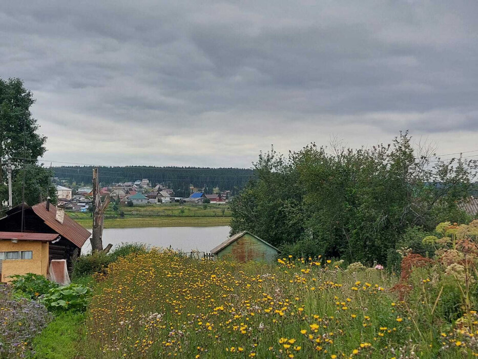 поселок городского типа Верхние Серги, ул. Розы Люксембург, 72 (городское поселение Верхнесергинское) - фото земельного участка (8)