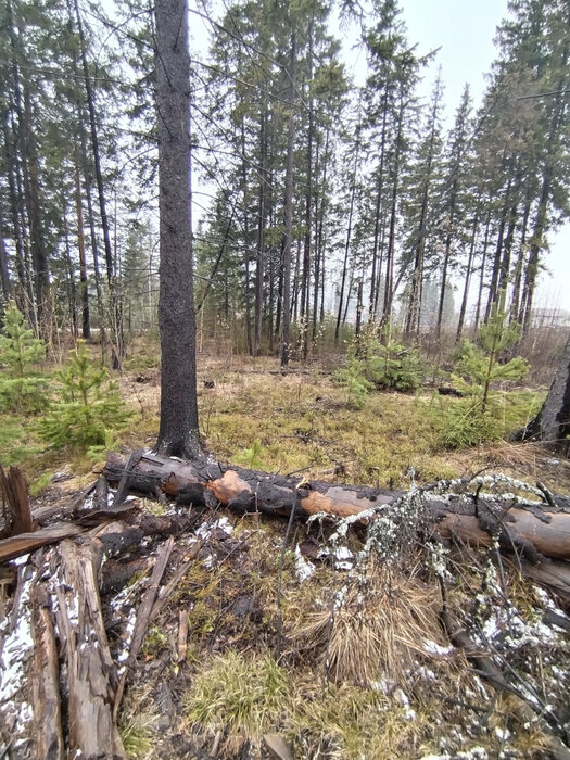 г. Ревда, ул. Хвойная (городской округ Ревда) - фото земельного участка (7)