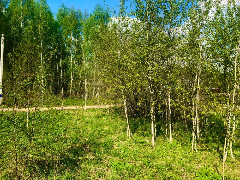 п. Гагарский, ул. 2-я Парковая, 33 (городской округ Белоярский) - фото земельного участка (1)