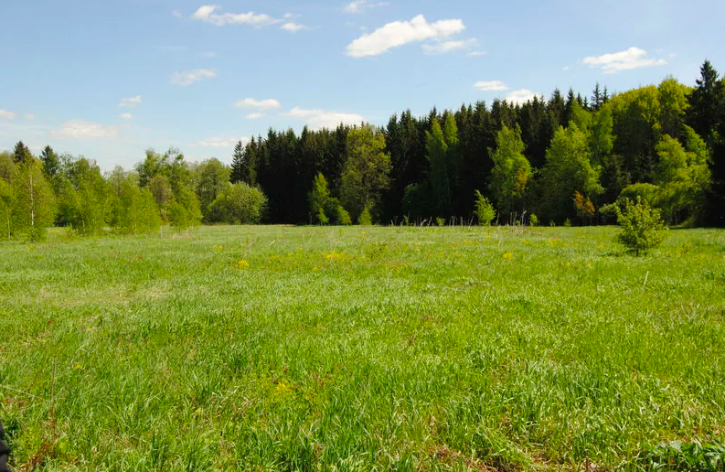 п. Гагарский, ул. 2-я Парковая, 33 (городской округ Белоярский) - фото земельного участка (2)