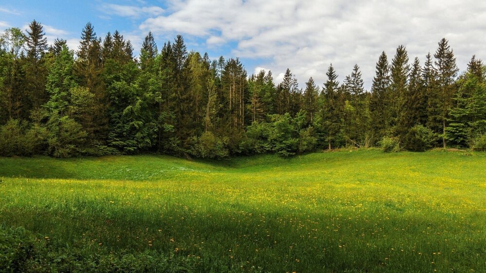 п. Гагарский, ул. 2-я Парковая, 33 (городской округ Белоярский) - фото земельного участка (3)