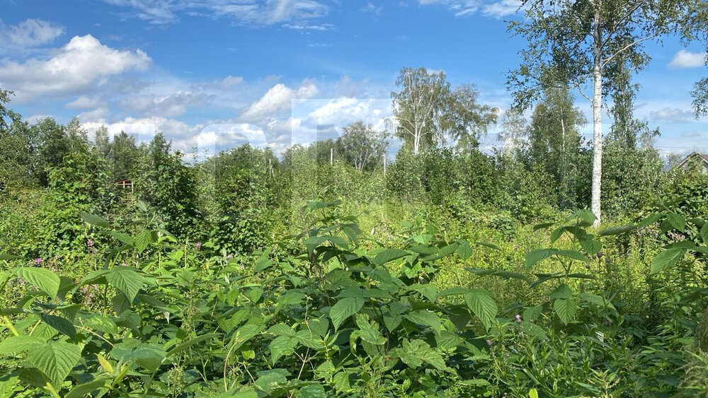 Екатеринбург, ул. коттеджный посёлок Полеводство (Полеводство) - фото земельного участка (1)