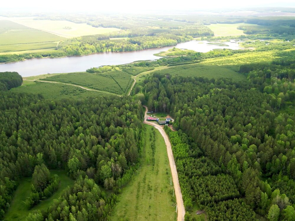 к.п. Олимпик Парк, ул. Солнечная, 436 (городской округ Сысертский, с. Фомино) - фото земельного участка (5)