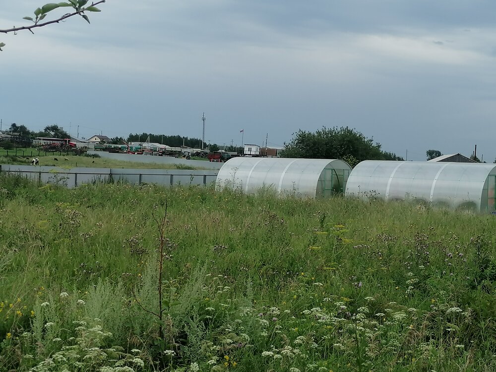 д. Златогорова, ул. Пионерская, 12 (городской округ Белоярский) - фото дома (3)