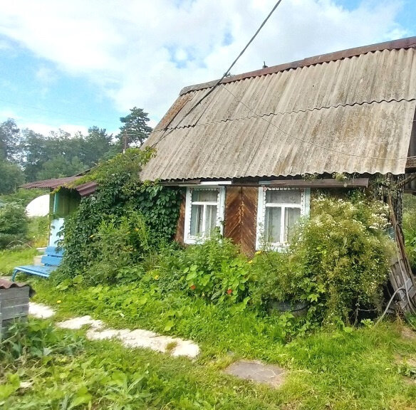 Екатеринбург, СНТ ЗАПРУДНЫЙ (Исток) - фото сада (2)