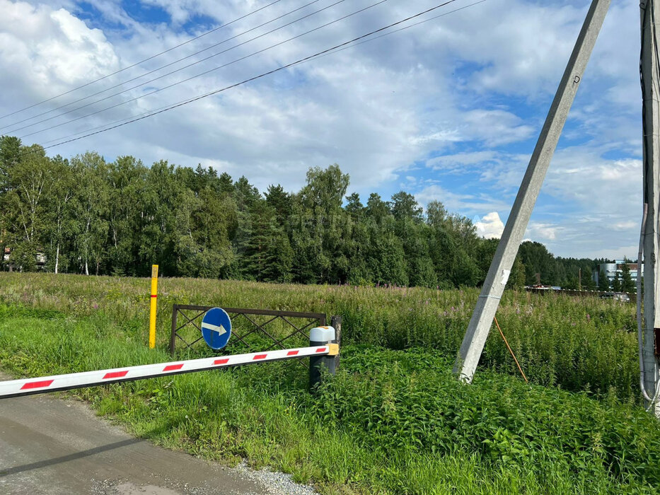 п. Растущий, ул. Центральная, 42 (городской округ Белоярский) - фото земельного участка (1)