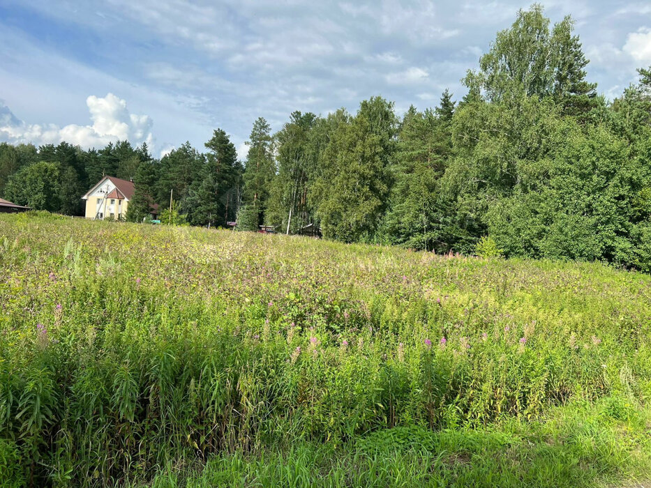 п. Растущий, ул. Центральная, 42 (городской округ Белоярский) - фото земельного участка (3)