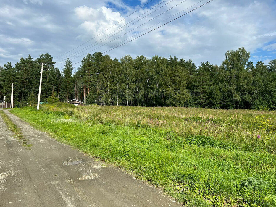 п. Растущий, ул. Центральная, 42 (городской округ Белоярский) - фото земельного участка (7)