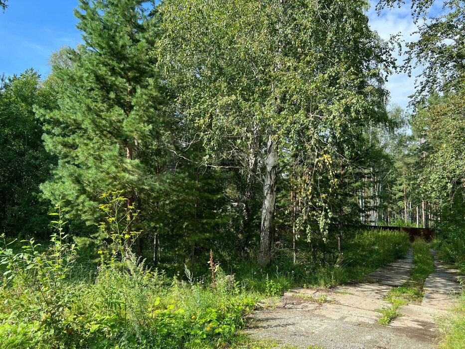 п. Растущий, ул. Центральная, 42 (городской округ Белоярский) - фото земельного участка (8)