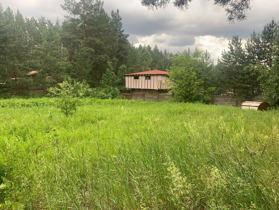 с. Кашино, ул. ДПК Сосновый Бор (городской округ Сысертский) - фото земельного участка (1)