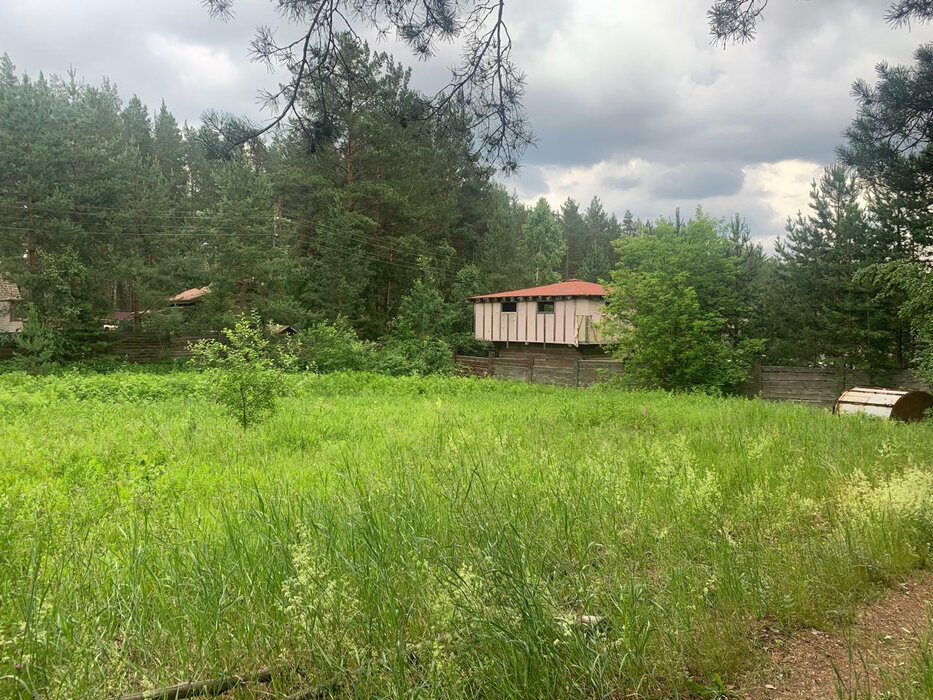 с. Кашино, ул. ДПК Сосновый Бор (городской округ Сысертский) - фото земельного участка (3)