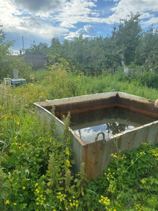 г. Верхний Тагил (городской округ Верхний Тагил) - фото сада (3)