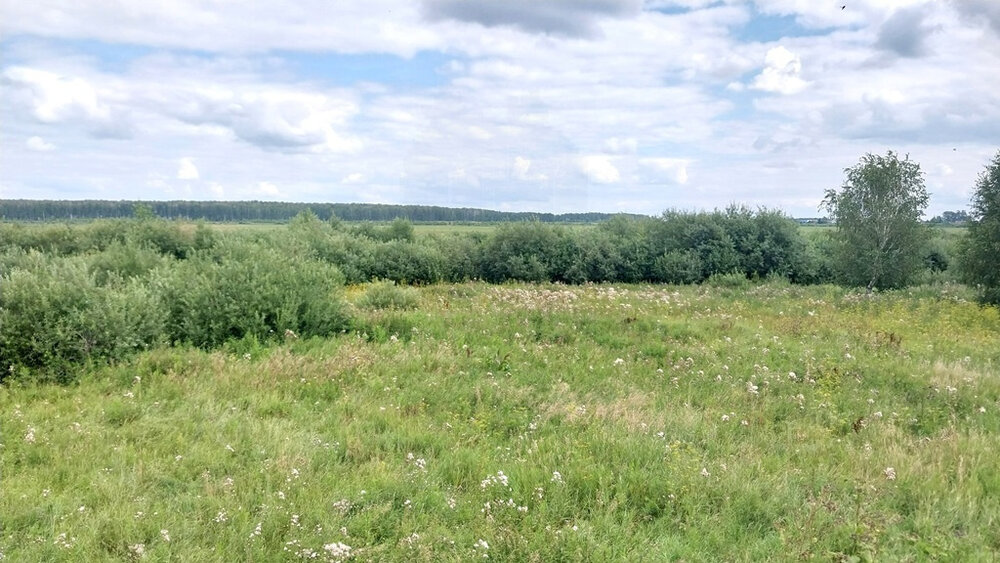 с. Каменноозёрское, городской округ Богданович, Тюменское направление, 97км., ул.Ленина, 80 (Выберите район) - фото земельного участка (2)