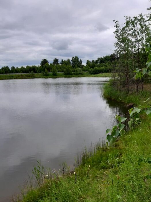 г. Невьянск (городской округ Невьянский) - фото земельного участка (4)