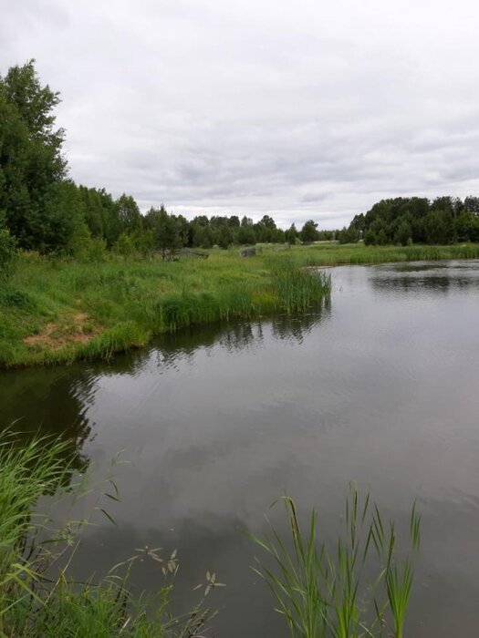 г. Невьянск (городской округ Невьянский) - фото земельного участка (8)