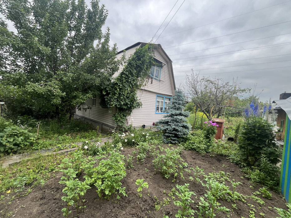 пгт. Верхнее Дуброво, СНТ Озерный (городской округ Верхнее Дуброво) - фото сада (2)