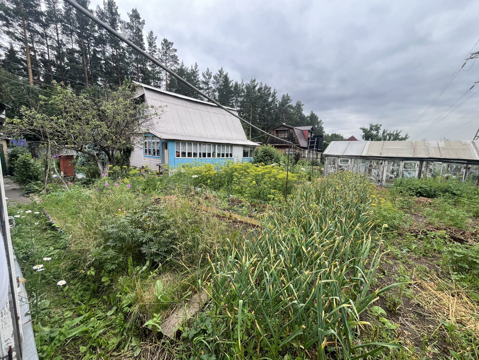 пгт. Верхнее Дуброво, СНТ Озерный (городской округ Верхнее Дуброво) - фото сада (4)