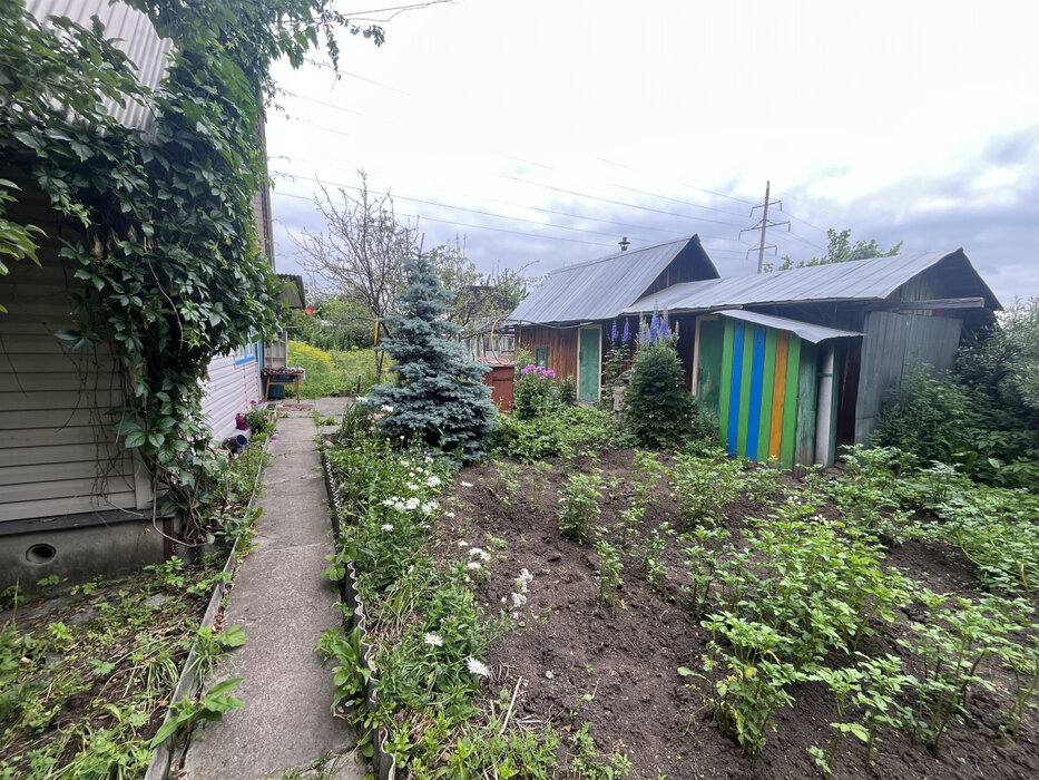 пгт. Верхнее Дуброво, СНТ Озерный (городской округ Верхнее Дуброво) - фото сада (6)