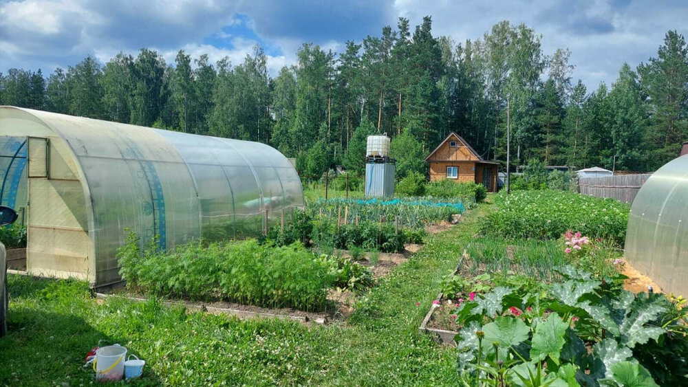 п. Лосиный, к/с Спутник (городской округ Березовский) - фото сада (4)