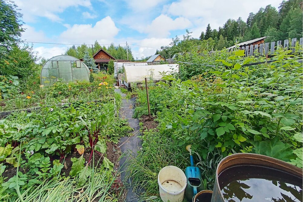 п. Калиново, к/с Заря (городской округ Невьянский) - фото сада (8)