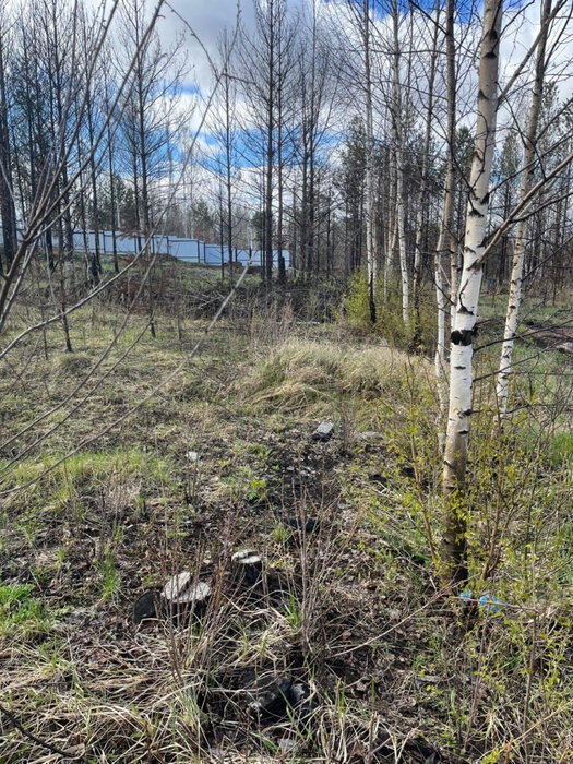 с. Мостовское (г.о. Вехняя Пышма), к/с Луч, ул. Учителей (городской округ Верхняя Пышма) - фото сада (1)