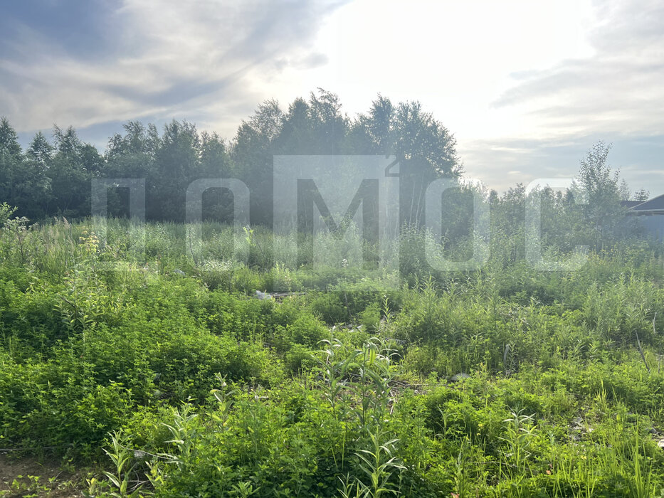 Екатеринбург, СНТ Дорожник - фото сада (3)