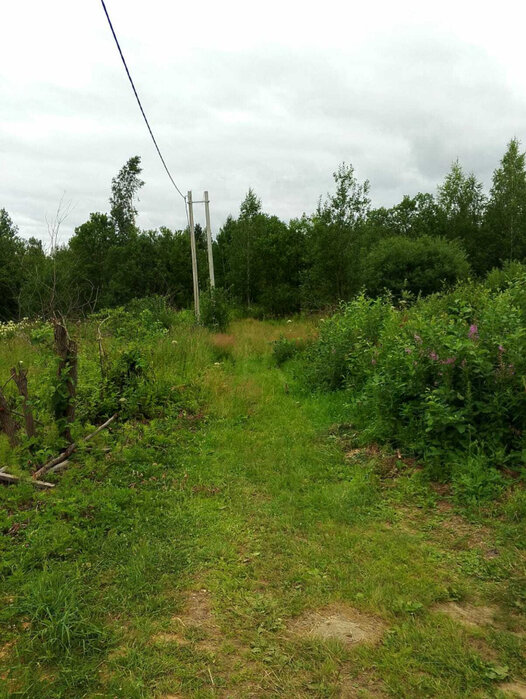 г. Кировград, снт Марина (городской округ Кировградский) - фото сада (1)