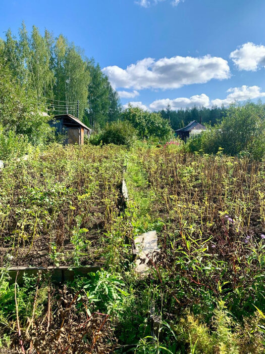 п. Левиха, к/с Горняк (городской округ Кировградский) - фото сада (1)