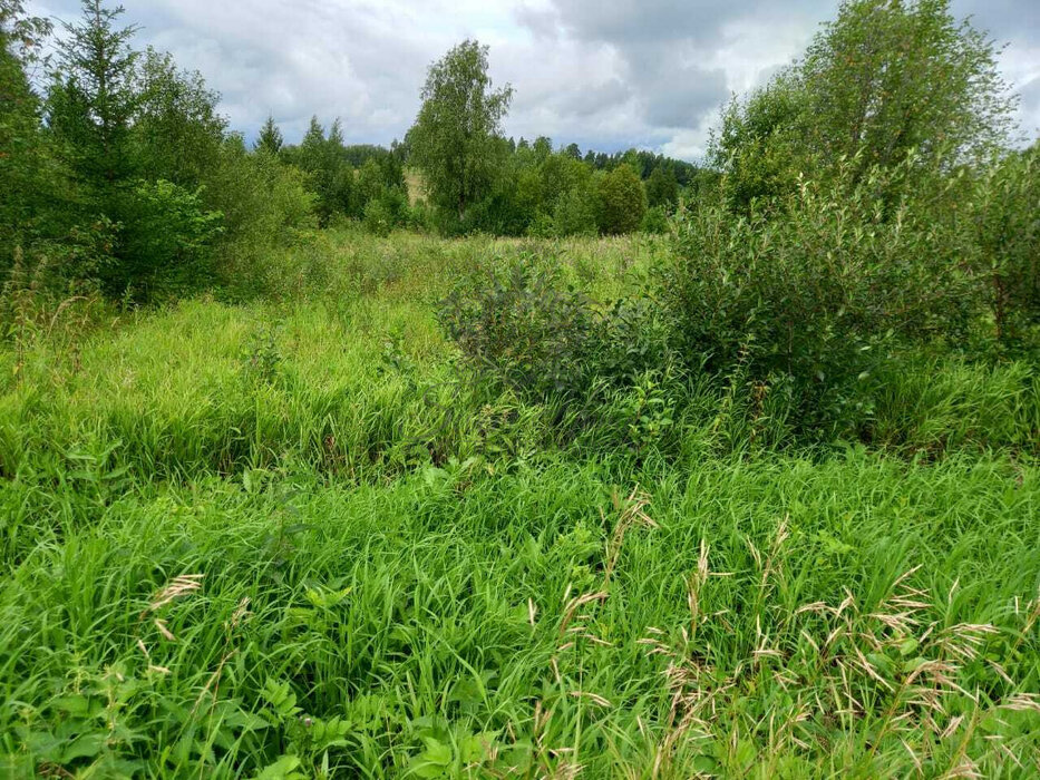 п. Афанасьевский, ул. Трактовая, 13 (городской округ Ачитский) - фото земельного участка (2)