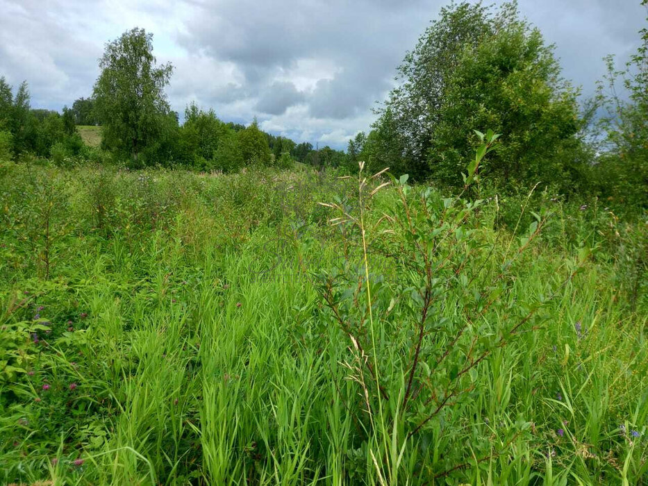 п. Афанасьевский, ул. Трактовая, 13 (городской округ Ачитский) - фото земельного участка (3)