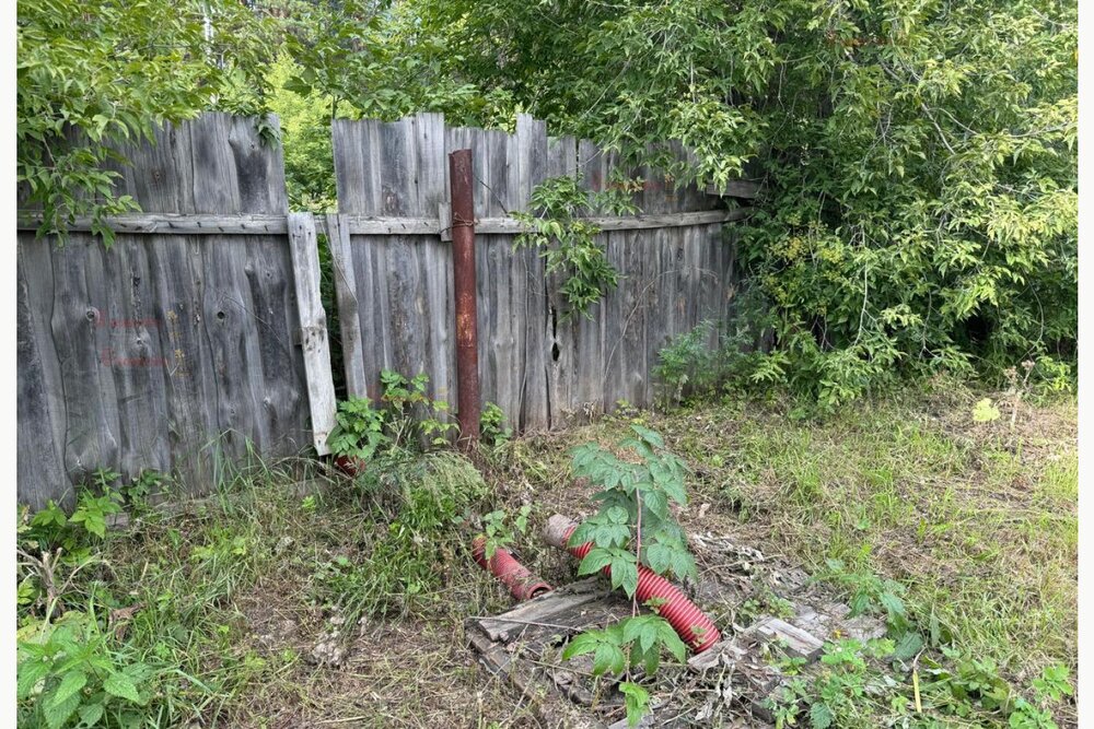 г. Березовский, Коллективный сад8 (городской округ Березовский) - фото сада (8)