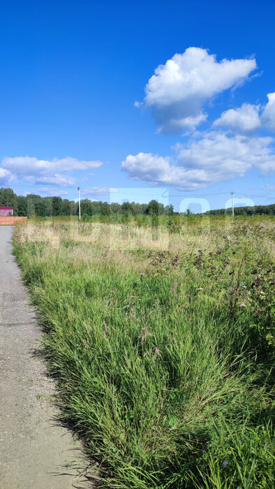 с. Малобрусянское, ул. Кирова, 4а (городской округ Белоярский) - фото земельного участка (1)