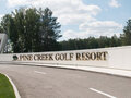 Продажа коттеджей: к.п. Pine Creek Golf Resort (Гольф Клуб), д.    (городской округ Сысертский) - Фото 4