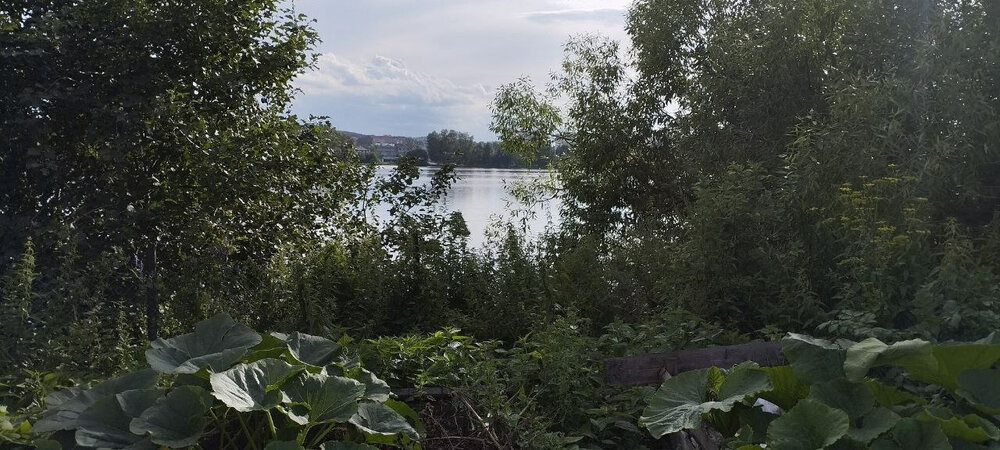 г. Арамиль, ул. Рабочая, 9 (городской округ Арамильский) - фото дома (2)