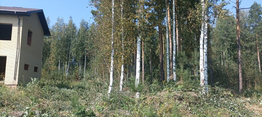 п. Гагарский, ул. 2-я Парковая, 12 (городской округ Белоярский) - фото земельного участка (1)