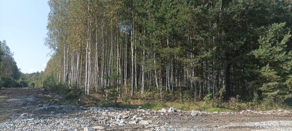 п. Гагарский, ул. 2-я Парковая, 12 (городской округ Белоярский) - фото земельного участка (2)