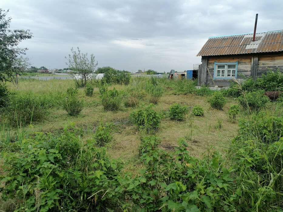 д. Златогорова, ул. Пионерская, 12 (городской округ Белоярский) - фото дома (6)