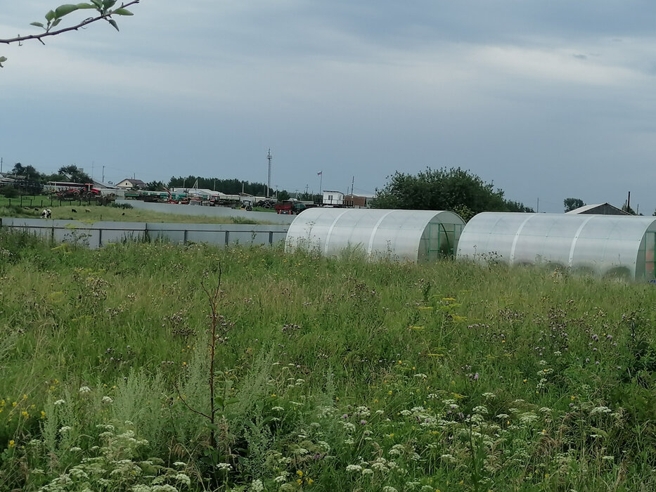 д. Златогорова, ул. Пионерская, 12 (городской округ Белоярский) - фото дома (7)