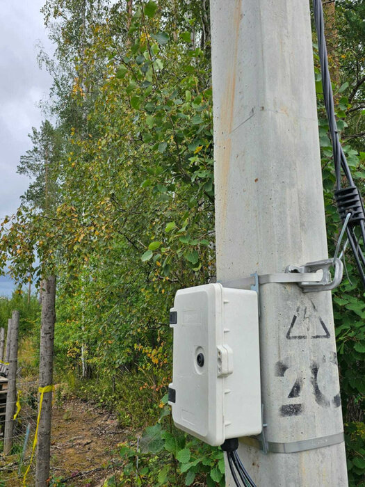 п. Зеленый бор, СТ Луговое (городской округ Верхняя Пышма) - фото сада (2)