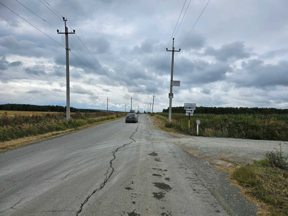 п. Зеленый бор, СТ Луговое (городской округ Верхняя Пышма) - фото сада (5)